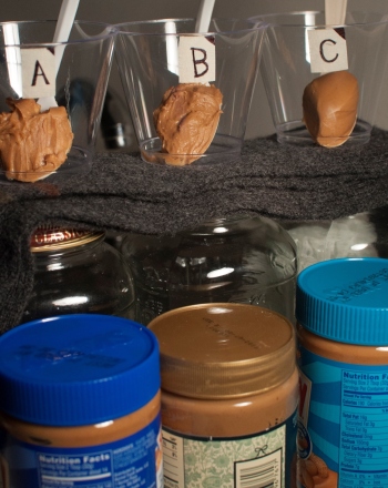 Which Tastes Better, Commercial Brands or Organic Brands?