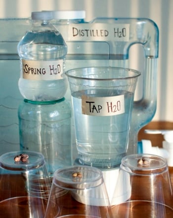 What Kinds of Water Yield Fastest Plant Growth?