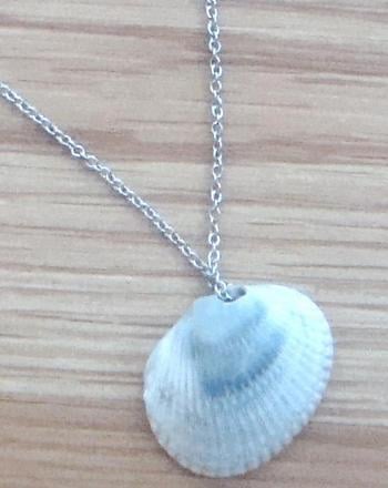 Seashell Necklace Craft