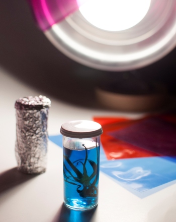 Elodea Photosynthesis Lab