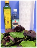 This science fair project teaches students about wilting and browning of salad greens.