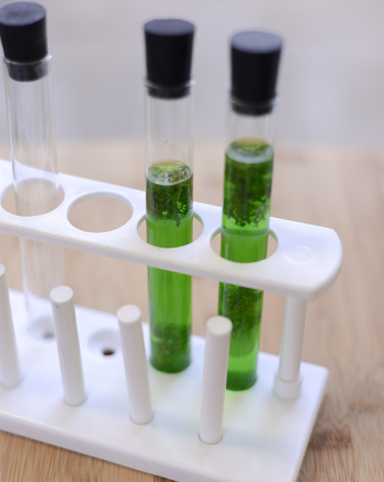 Build Your Own Photobioreactor
