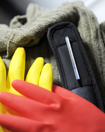 Arctic Tundra Animals