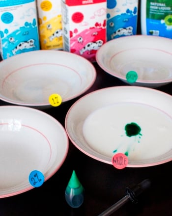 Color Changing Milk Experiment