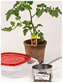 This science project is to discover which Black Walnut tree tissue contains the most concentrated amount of Juglone, a substance that works like an herbicide.