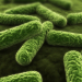 Bacteria Science Fair Project: How Does Bleach Kill Bacteria?