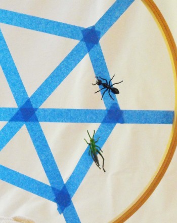 Scary Science with Spiders!