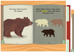 Comparing Information