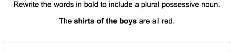 Apostrophes in Plural Possessive Nouns 1