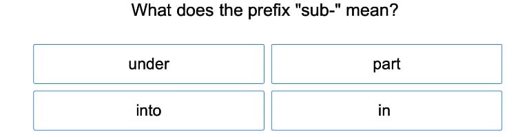 Common Prefixes 3