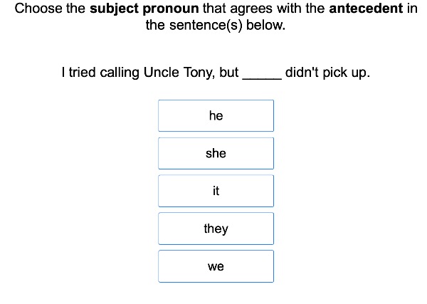 Pronoun Antecedent Agreement 1 large image