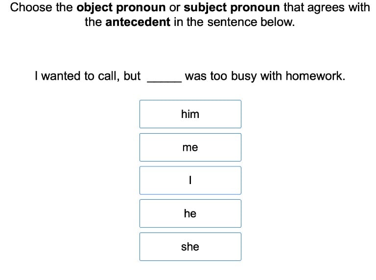 Pronoun Antecedent Agreement 2