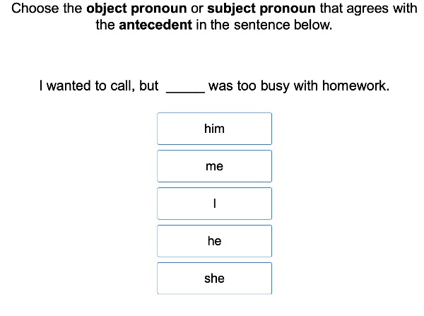 Pronoun Antecedent Agreement 2 large image