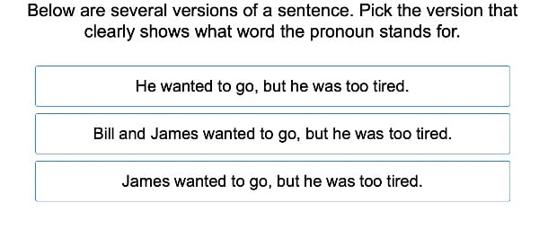 Pronouns to Clarify Meaning large image
