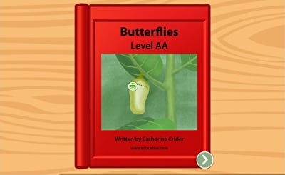 Butterflies: Level AA large image