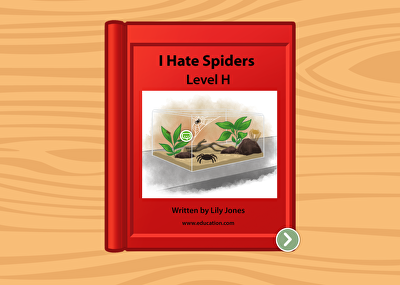 I Hate Spiders: Level H large image