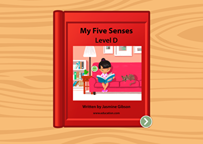 My Five Senses: Level D large image