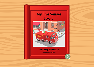 My Five Senses: Level J large image