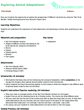 Exploring Animal Adaptations! large image