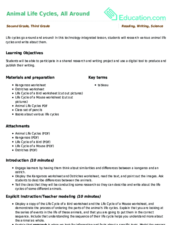 Animal Life Cycles, All Around