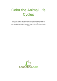Animal Life Cycles