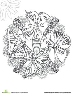 Mandala Butterflies Coloring