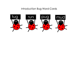 Bug Word Cards