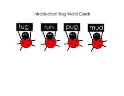 Bug Word卡片