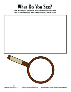 What Do You See