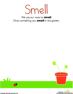 Smell