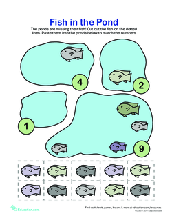 Counting Fish
