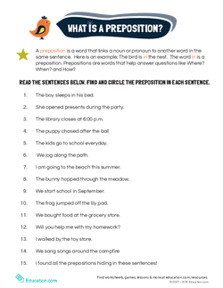 Preposition Examples