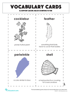 Vocabulary Cards: EL Support Lesson: Beach Counting to Ten