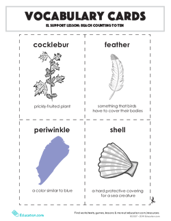 词汇卡片:EL支持教训:海滩数到十