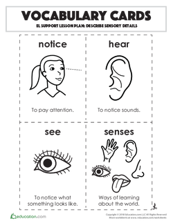Vocabulary Cards: Describe Sensory Details