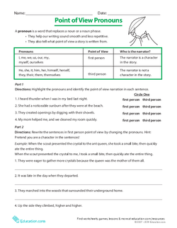 Point of View Pronouns