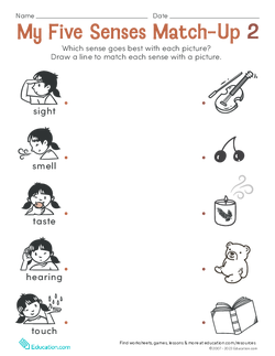 My Five Senses Match-Up 2