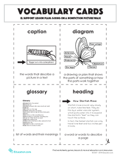 Vocabulary Cards: Going on a Nonfiction Picture Walk