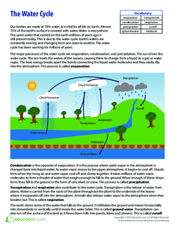 What Is the Water Cycle?