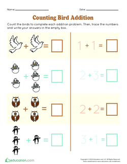 Counting Bird Addition