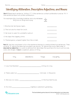 Identifying Alliteration, Descriptive Adjectives, and Nouns