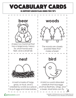Vocabulary Cards: Using the 5 W's