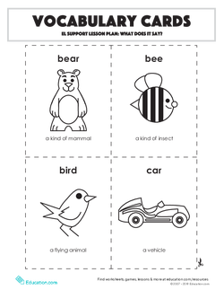 Vocabulary Cards: EL Support Lesson: What Does It Say?