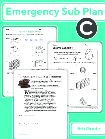 Fifth Grade Daily Sub Plan C large image