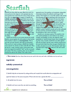 Starfish Facts