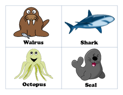 Ocean Life Cards