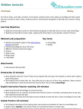 Hidden Animals large image