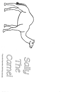 Sally the Camel Booklet