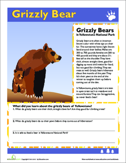 Grizzly Bears handout