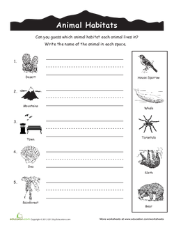 Animal Habitats for Kids Coloring Page